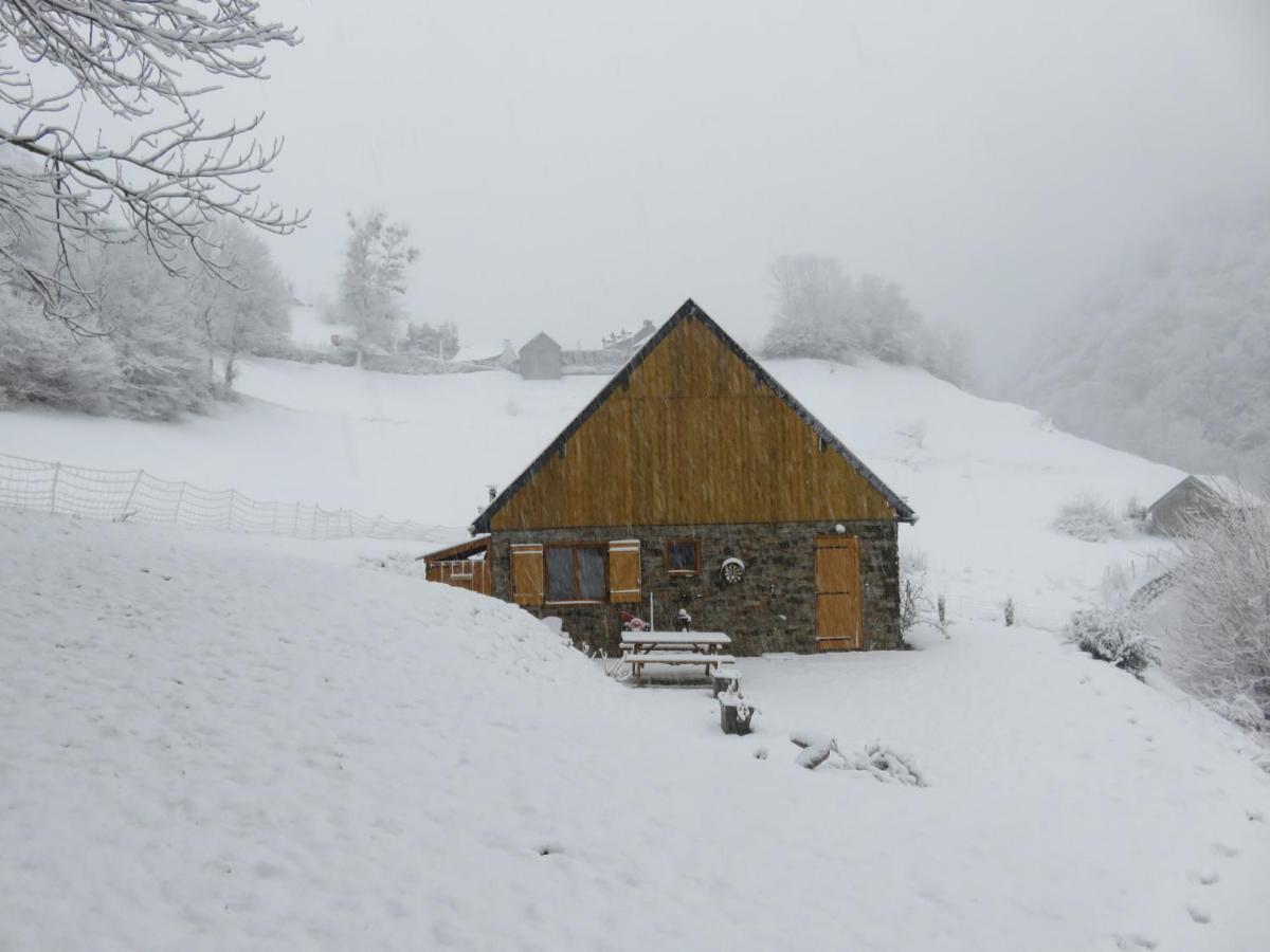 Le Bordarriben Sauna & Spa 4 Etoiles Gèdre Exteriör bild