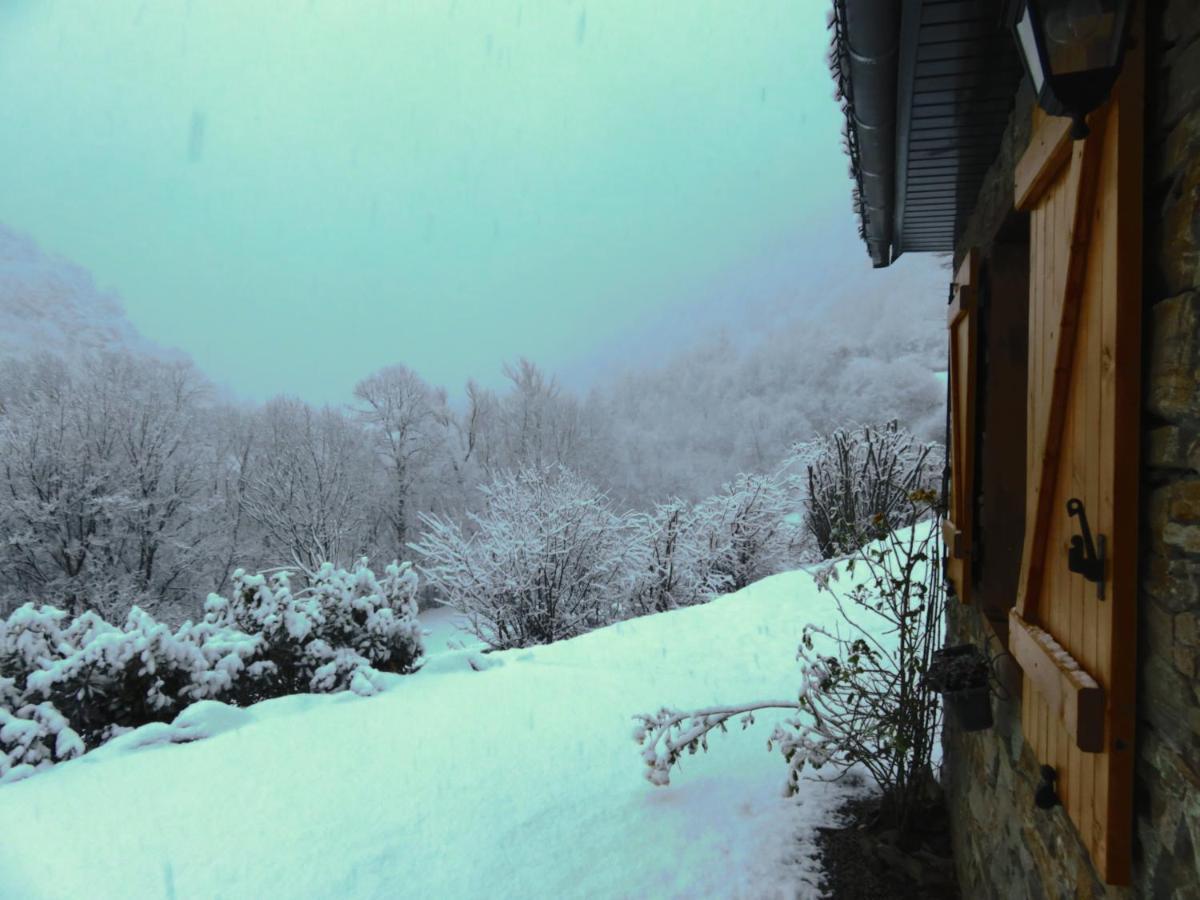 Le Bordarriben Sauna & Spa 4 Etoiles Gèdre Exteriör bild
